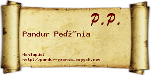 Pandur Peónia névjegykártya
